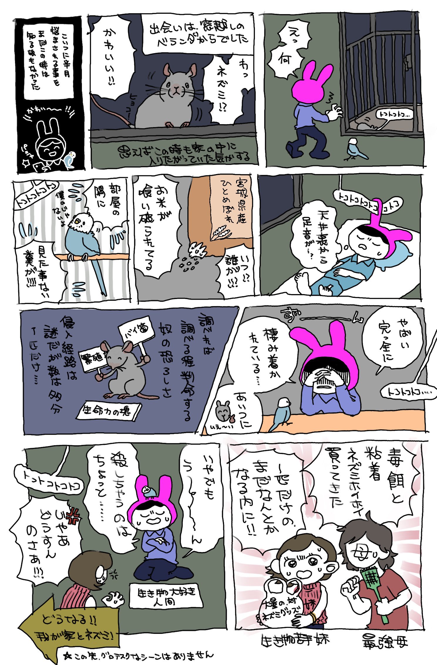 家に初めてネズミが出た話